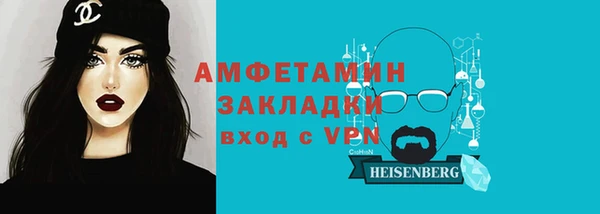 прущие грибы Беломорск