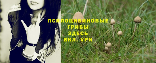 каннабис Белокуриха