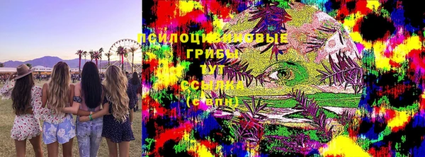 прущие грибы Богданович